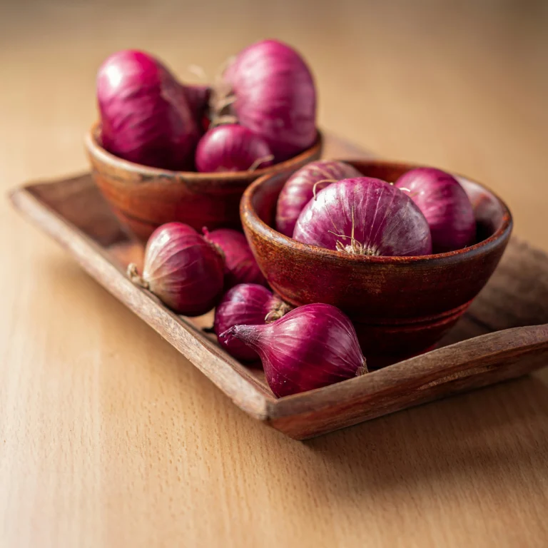 Govt Scraps 20% Export Duty on Onions, Bringing Relief to Farmers & Exporters